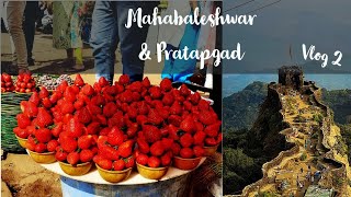 Raigad- Mahabaleshwar- Pratapgad || Shivkalin Khedegaon || Roadtrip || Part 2