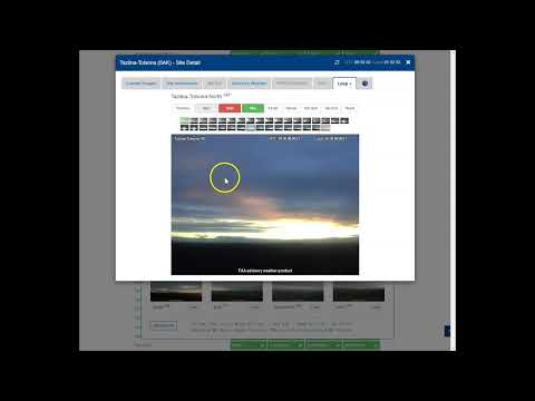 Nibiru Planet X in FAA Webcam?