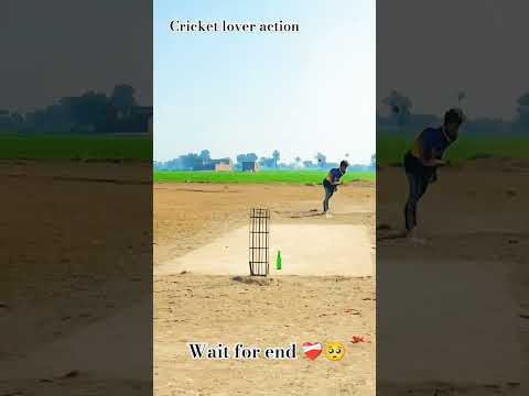 #cricket #cricketlover #viral #viralreels #siraj #viratkohli #short #shorts