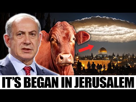 The Temple Prophecy is Coming! Strange Things JUST Happening in Jerusalem