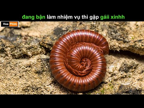 Đang bận làm nhiệm vụ thì bắt gặp - review phim