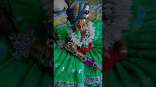 Kartik masss special ladugopal sringar 🥰❤️ radhe radhe ❤️ anshu ladugopal life ❤️ ladugopal seva❤️‍🔥