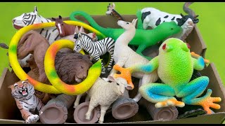 Lots of Zoo Farm Animals - Education Video for Kids #zooanimals #farmanimals