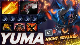 Yuma Night Stalker Balanar - Dota 2 Pro Gameplay [Watch & Learn]