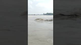 Damodor nod,Jyotdakshin ,jamalpur,purbo burdwan,#vlog #nodi #live