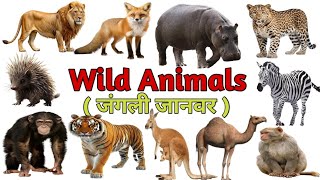 Wild Animals || Wild Animals Name in English and Hindi | जंगली जानवरों के नाम | Forest Animals Name