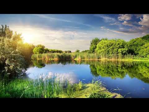 Relaxing Tranquil Piano Music for Stress Relief, Calming Piano Music, Calm Chords, Peaceful