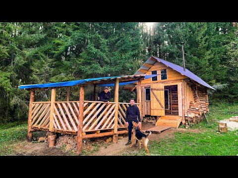 DIY LOG SHELTER FROM START TO FINISH - no talking | Working OFF GRID | FOREST ASMR