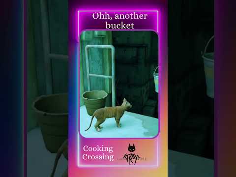 Stray Cute Gameplay #cookingcrossing #gameshorts #gameintro #gameplay #deadcity