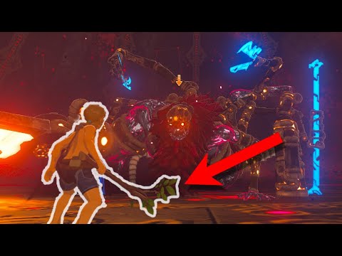 Defeating Ganon with ONLY STICKS! |BotW|