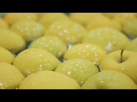 Satisfying Videos Modern Food Technology Processing  That Are At Another Level | Food Factory