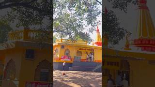 Visiting near by goddess temple 🛕 #minivlog #bloggerlife #vlog #blogginglife #motivation #bestblog