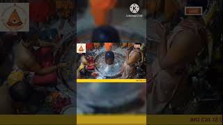 #trending #viral  #mahakaleshwar #abhishek  #darshan #sorts  #shri_mahakaleshwar_jyotirlinga_ujjain