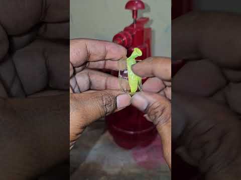 best holi balloon experiment with nano tape #experiment