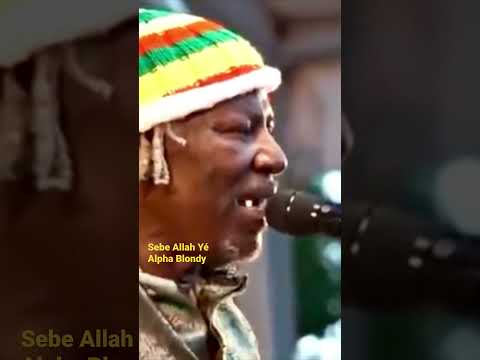 Sebe Allah Yé - Alpha Blondy❤️💛💚 #alphablondy #sebeallah #reggae #shorts #musicvideo #live