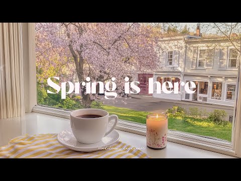 spring is here and it's a dreamy morning (january playlist)⭐ romanticize your life with guitar music