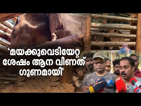 അതിരപ്പിള്ളി കൊമ്പൻ ‘കൂൾ', ഇനി ഒന്നര മാസത്തെ ചികിത്സ | Athirappilly Elephant Rescue