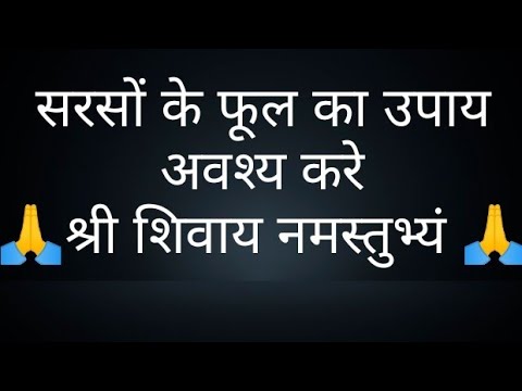 सरसों के फूल का उपाय अवश्य करे- @panditpradeepmishrajikeupa9406