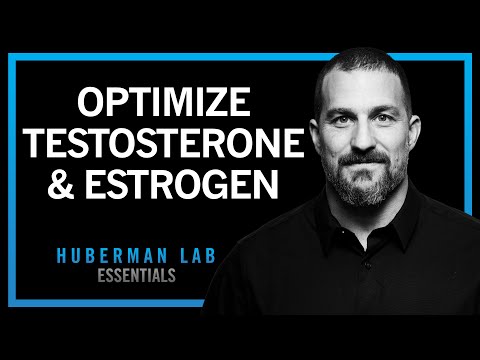 How to Optimize Testosterone & Estrogen | Huberman Lab Essentials