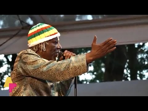 Alpha Blondy- Peace in Liberia - LIVE at Afrikafestival Hertme 2018