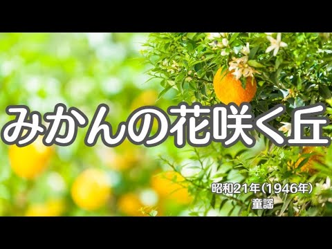 みかんの花咲く丘　童謡　懐かしい歌