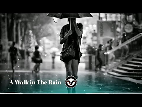 Magnus Ludvigsson - A Walk in the Rain ☔