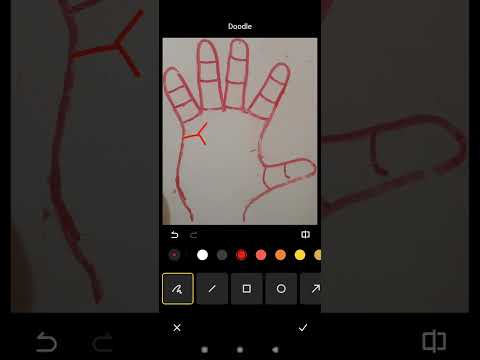 दो मुखी विवाह रेखा /Marriage Line#palmistry #shortsvideo #shorts