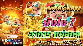 สมัครสล็อต สมัครสล็อตเว็บตรง สมัครสล็อต pg สมัครสล็อตแตกง่าย Fortune Gods