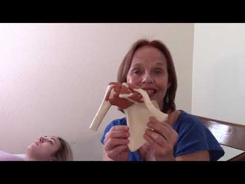 Subscapularis Palpation with Peggy Lamb/Massage Publications