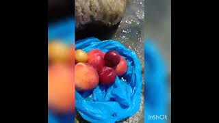 eating fresh fruits in summer