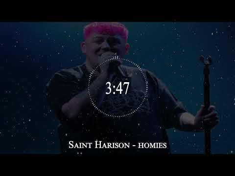 Saint Harison - homies