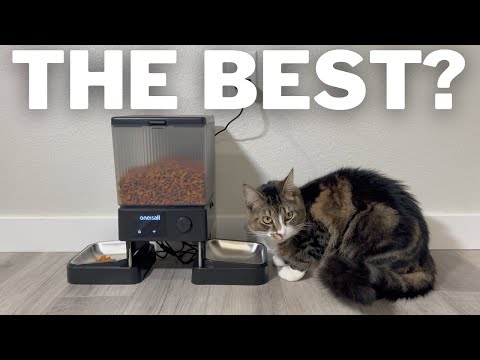 Oneisall Wifi Cat Feeder Review | Best Automatic Cat Feeder On Amazon?