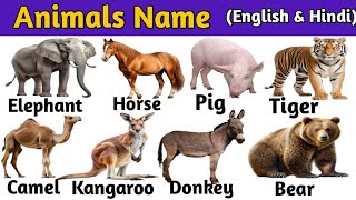 Animals Name with Pictures and clips || Animals Name for kids | जानवरों के नाम हिंदी और इंग्लिश में