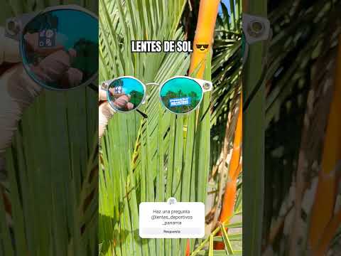 Lentes de sol de alta calidad para el verano