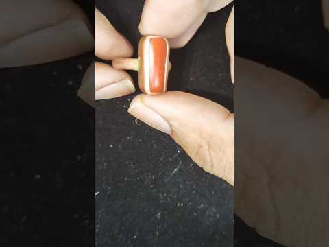 lal moonga | red coral | truth exposed | finger to wear?? day to wear??#gemstone #astrology #coral