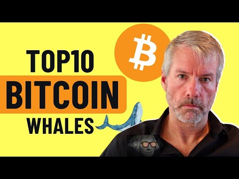 Top 10 Bitcoin Whales|| The Biggest Bitcoin Holders Revealed