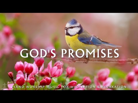 God's Promises: Prayer Instrumental Music, Deep Focus 24/7 - Music For Studying, Work And Meditation