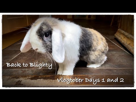 Vlogtober 2023 - Days 1&2