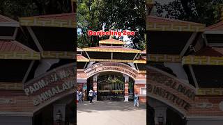 Darjeeling Zoo 🐯 #shorts #shortsfeed #ytshorts #zoo #darjeelingzoo #zoologicalpark #short #animals