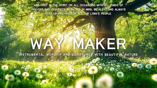 Way Maker : Piano Instrumental Music With Scriptures & Nature / Soaking Worship instrumental