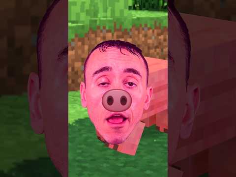 When Minecraft Pigs Are Sus…