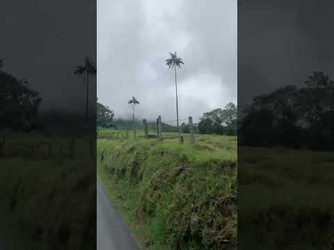 VALLE COCORA1