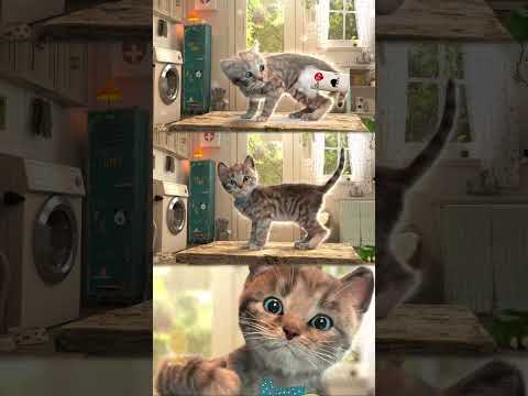 FUNNY VIDEO CAT LITTLE KITTEN ADVENTURE - SUPER NEW GAME FOR KIDS ON ANDORID AND IOS