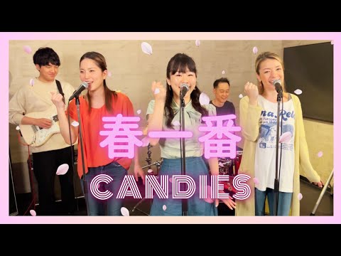 【歌詞付】春一番 / キャンディーズ【Cover】Haru Ichiban by Candies