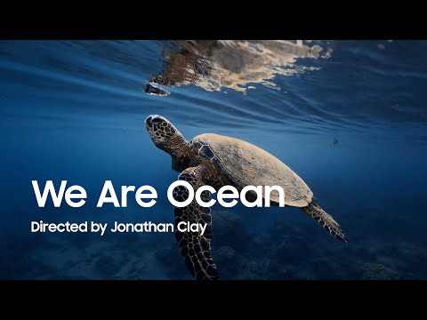 Filmed #WithGalaxy S25 Ultra | 'We Are Ocean' By Jonathan Clay | Samsung UK