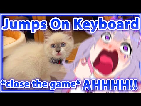 Biboo's IRL Cat Invades Her Stream and Accidentally Turned Off The Game 【Hololive EN】