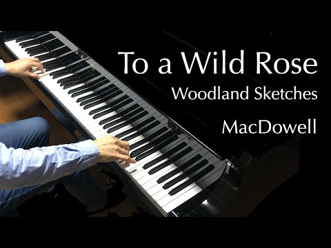 To a Wild Rose - Woodland Sketches -  MacDowell - pianomaedaful