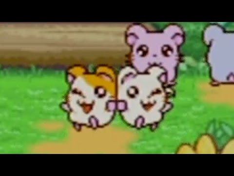 Hamtaro: Ham-Ham Heartbreak Playthrough Part 2 (Hamigos!)