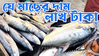 সমুদ্রের টাটকা মাছ কিন্তে আমরা এখন সেন্টমার্টিনে ।Raaz Agro