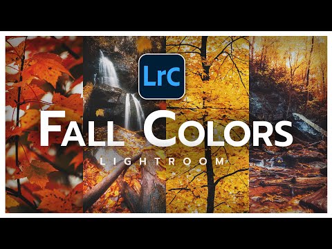 How to EDIT FALL PHOTOS in LIGHTROOM